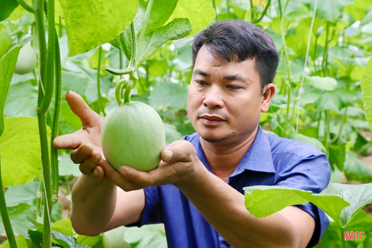 z5469553738079_663b14b887f047adaace13d59e6fdf13 copy.jpg