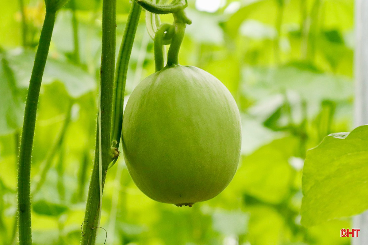 z5469553727923_62915619c4ce0b858ef107dcd198c6f0 copy.jpg