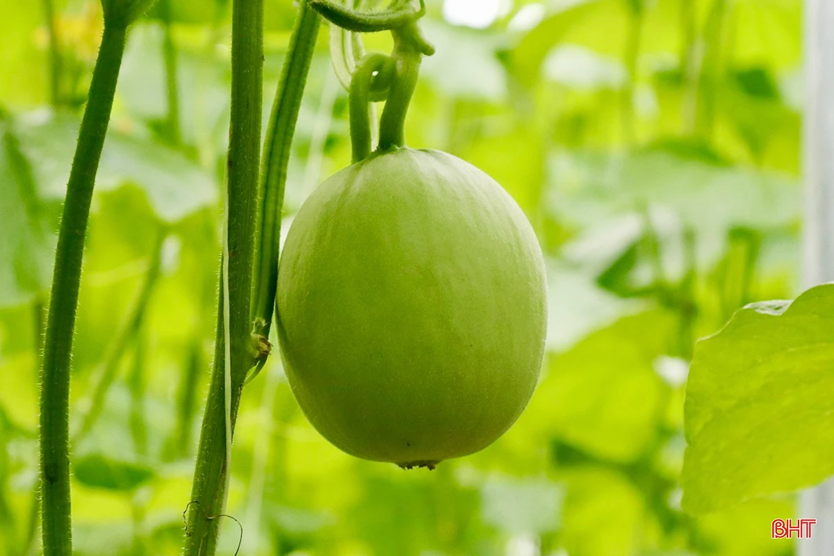 z5469553727923_62915619c4ce0b858ef107dcd198c6f0 copy.jpg