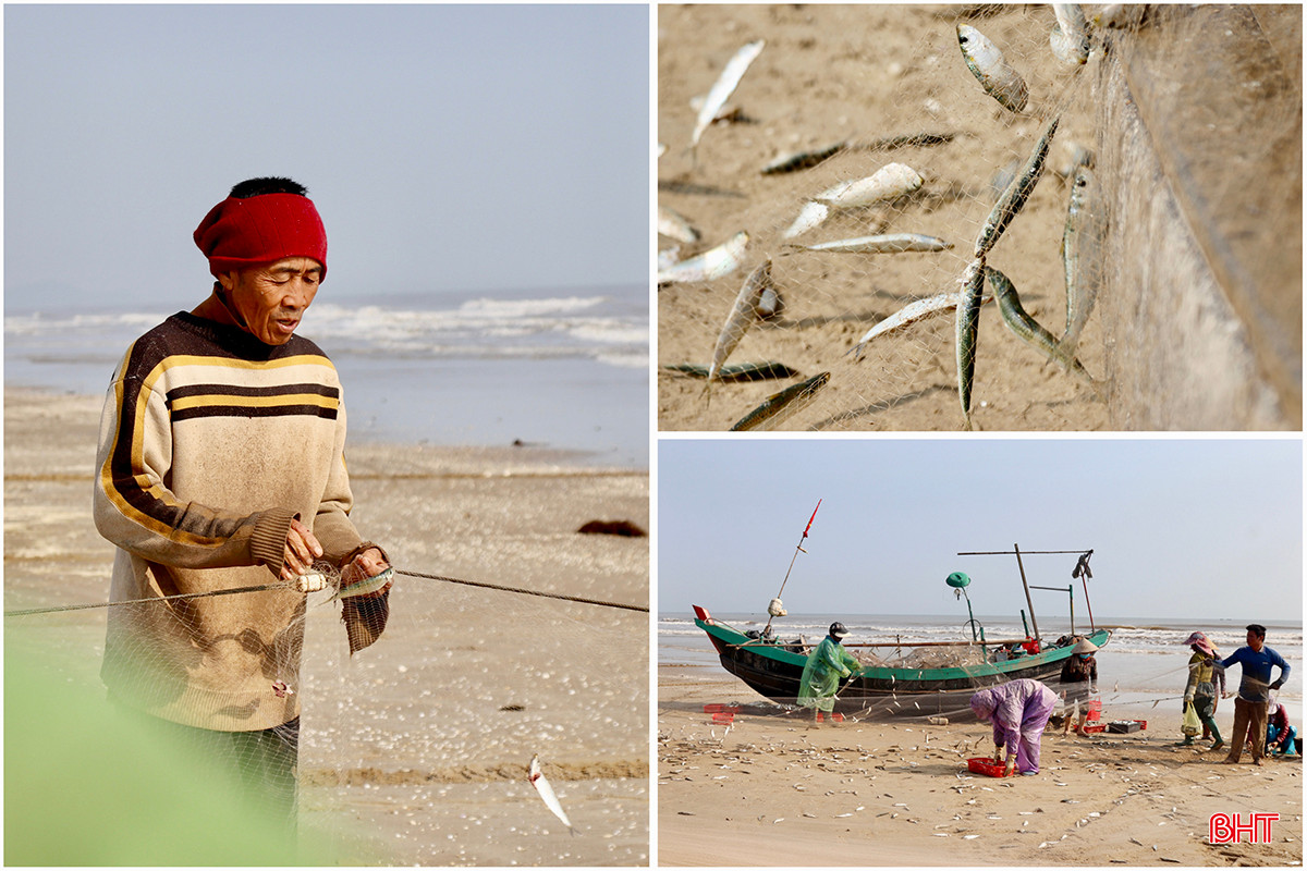 501D014F-7DC3-421E-A53C-793D59ED3652 copy.jpg