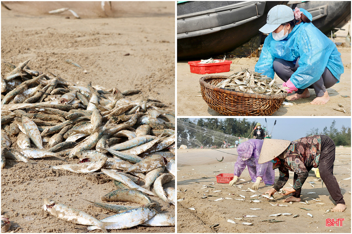 518EF7D5-4F4A-441B-98DC-4ACF867BC7EA copy.jpg