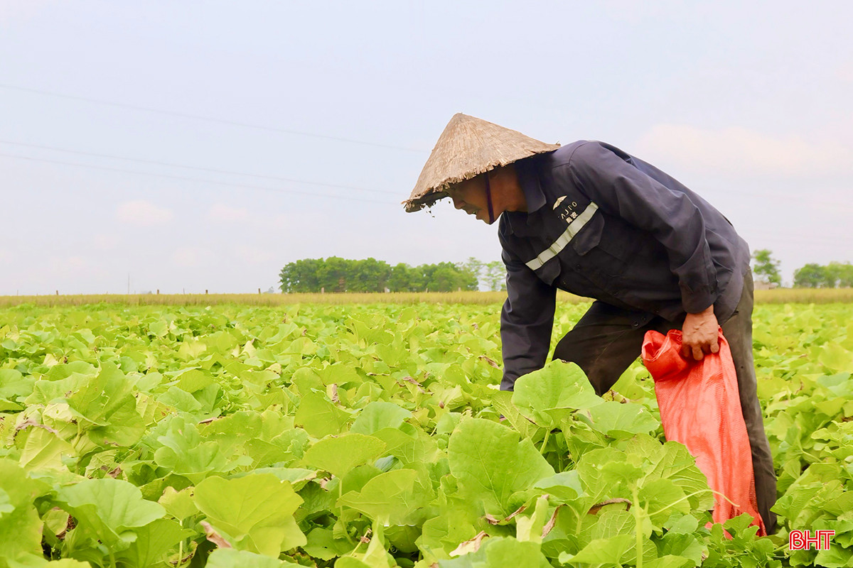 c2ac1e39f8c294c67b539630bdee807c copy.jpg