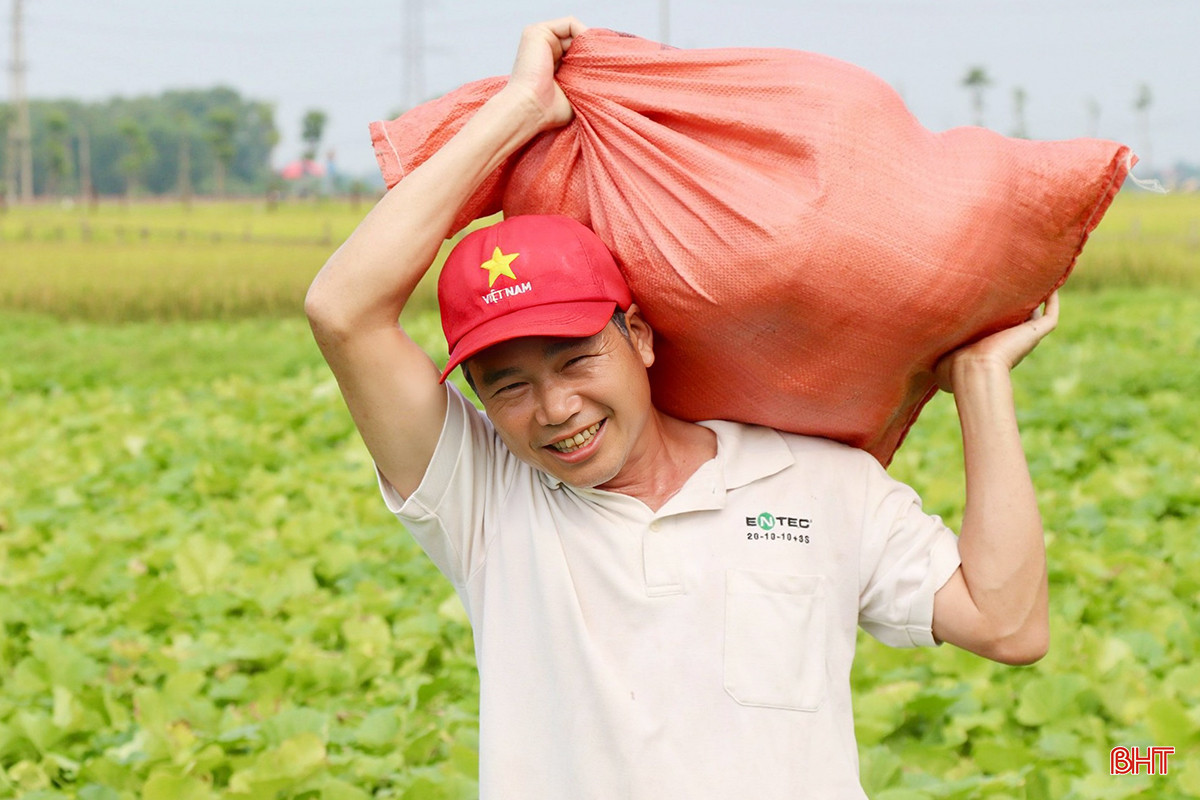 z5407034386832_434b0fa4cc137f0d23dc2b219fc79499 copy.jpg