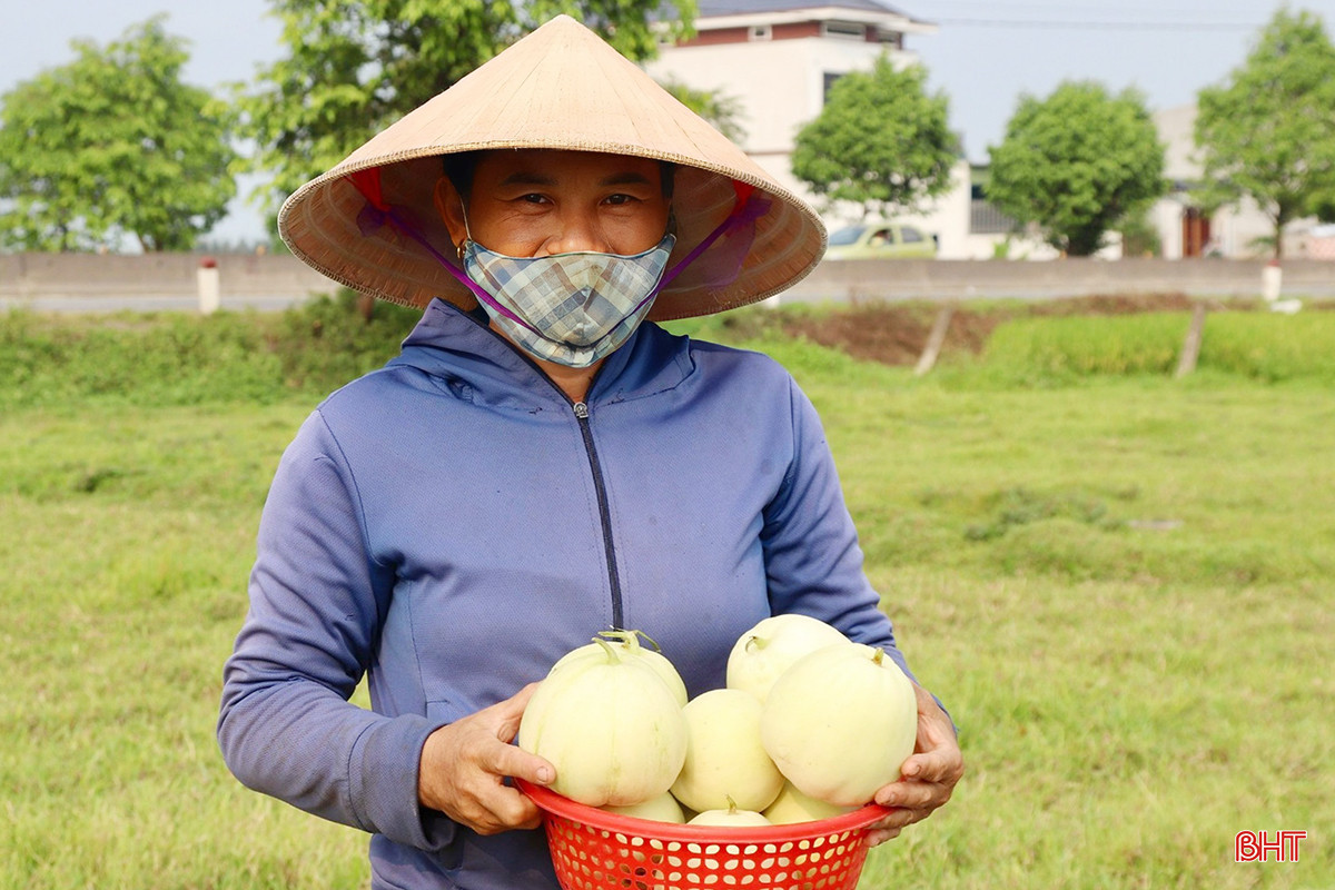 z5407034379048_f37854f7d6729f9232b6e6ecce5811b4 copy.jpg