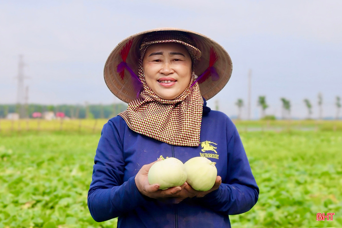 e3c2dcd7c400e4fb93105b1450967225 copy.jpg