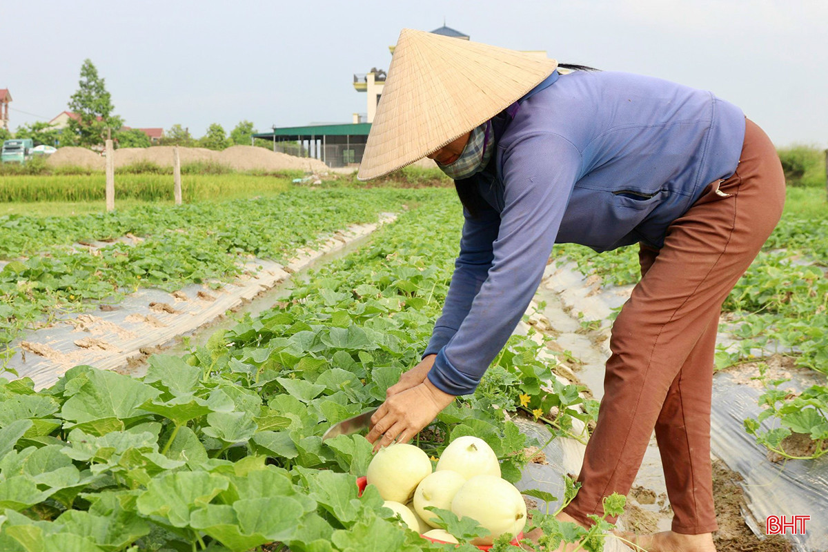 z5407034393768_972f9ab28cbe3c78c690bc883b11a318 copy.jpg