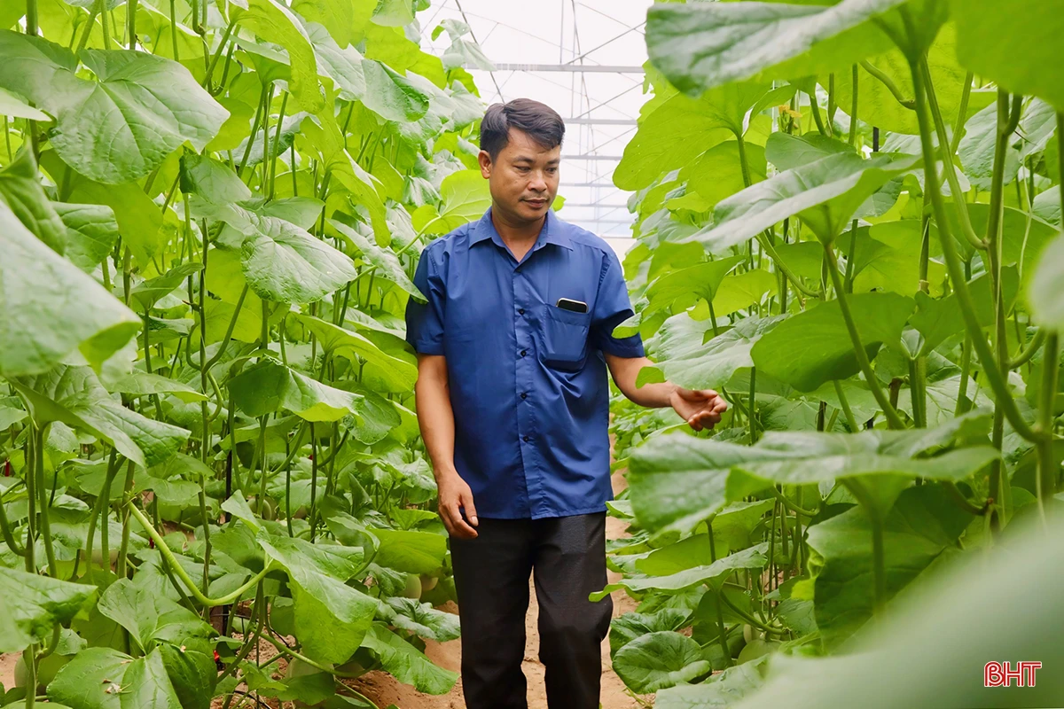 z5469800724418_a011d2aa6fc2088b01ae0ac90bf08ca4 copy.jpg