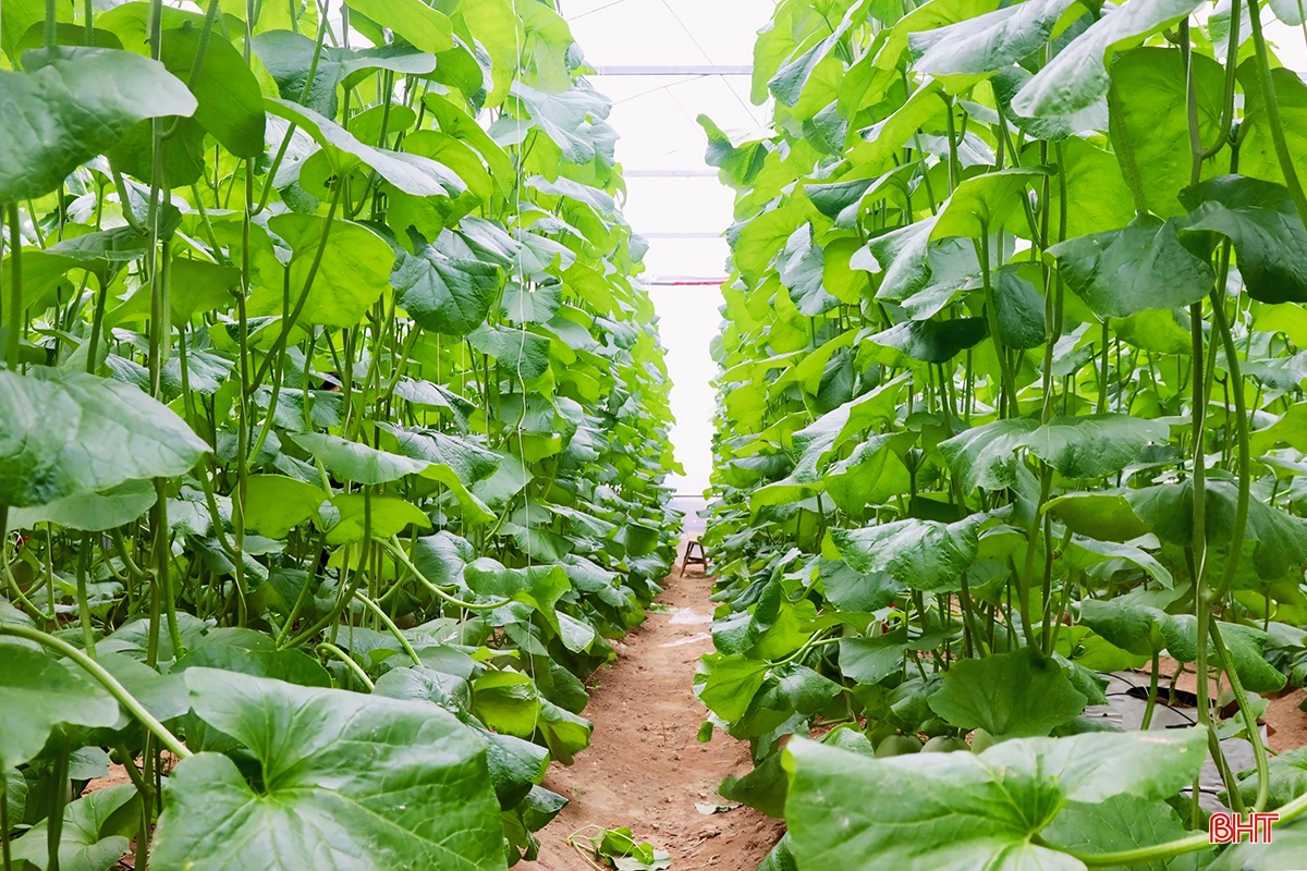 z5469800730091_ae4dd0fe36179f15e414e8a4296f4f7e copy.jpg