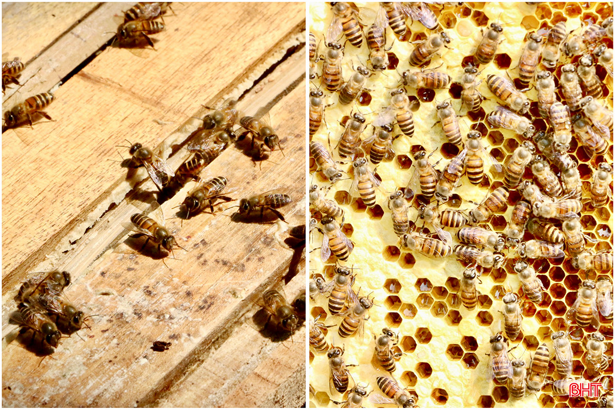 BD88A432-2A97-41D9-9434-A39E13743329 copy.jpg