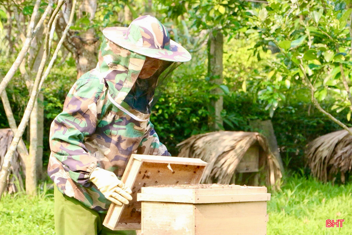 Gia đình ông Trần Viết Châu (SN 1958) là một trong những hộ nuôi ong lâu năm tại thôn Hoa Thị (xã Thọ Điền). Nghề nuôi ong đã giúp gia đình ông có cuộc sống ổn định. Theo ông Châu, tuỳ theo từng thời điểm mà thời gian khai thác mật ong sẽ thay đổi, nếu ong khỏe chăm hút mật thì khoảng 8 ngày là có thể thu hoạch, nhưng cũng có đàn mất tới 15 ngày.
