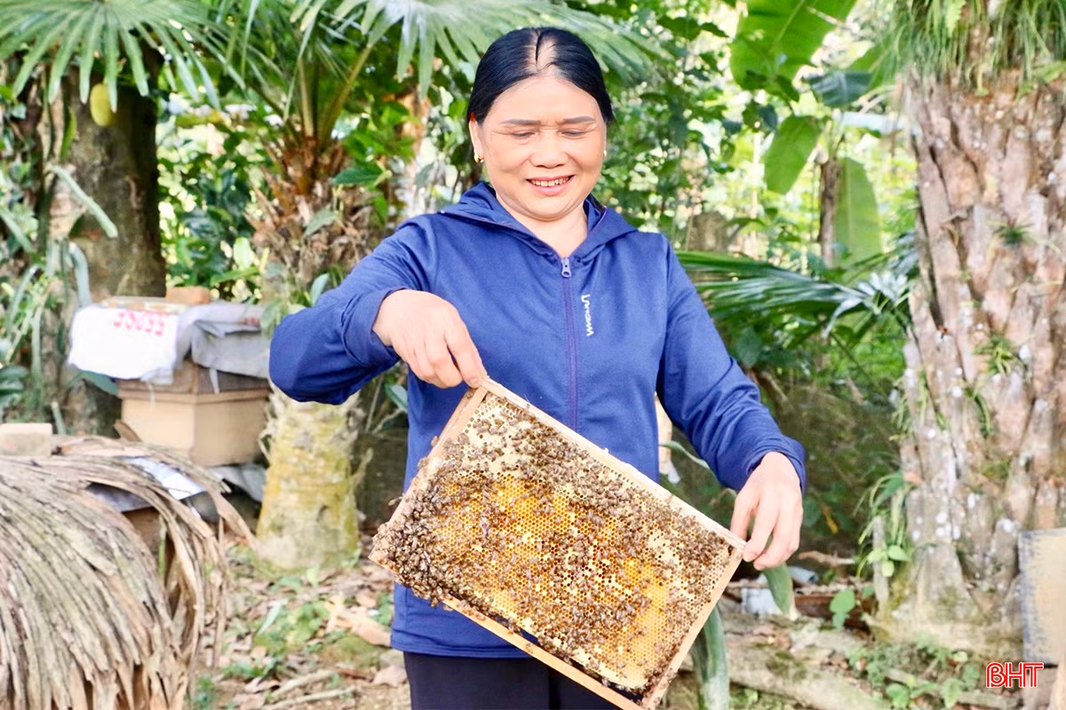 99295f62e8cbffdcb6ef55f450babf61 copy.jpg