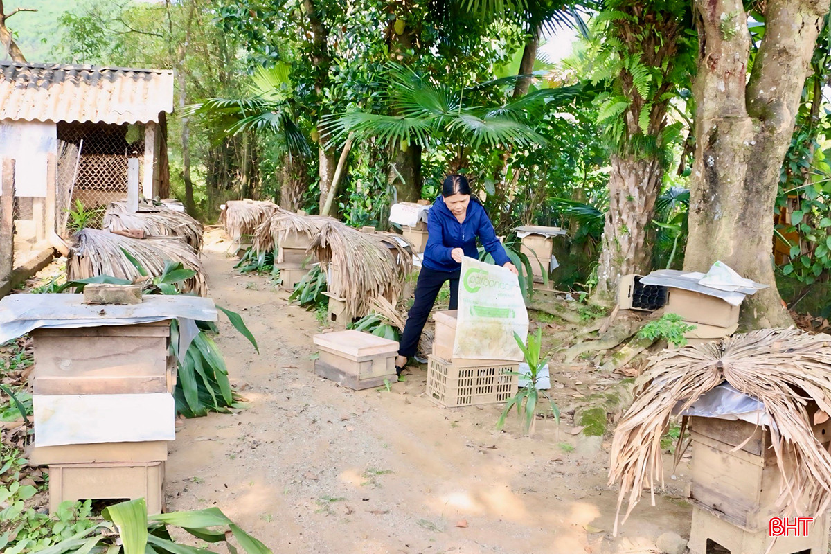 749fbdff12295e54e4a91a97f2bbefe9 copy.jpg