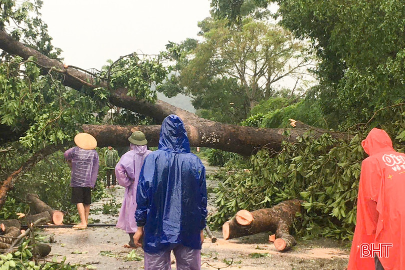 Xã Xuân Lộc tập trung lực lượng giải phóng cây gãy đổ trên tuyến đường lên Khe Giao.