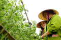 Về thôn kiểu mẫu ở Hà Tĩnh - nơi đường có hoa, nhà có số