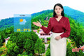 Dự báo thời tiết Hà Tĩnh ngày 9/5: Nắng nóng diện rộng, có nơi 38 độ C