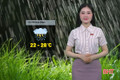 Dự báo thời tiết Hà Tĩnh ngày 27/5: Mưa vừa đến mưa to và dông