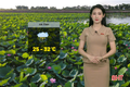 Dự báo thời tiết Hà Tĩnh ngày 3/7: Ngày nắng gián đoạn, chiều mưa dông