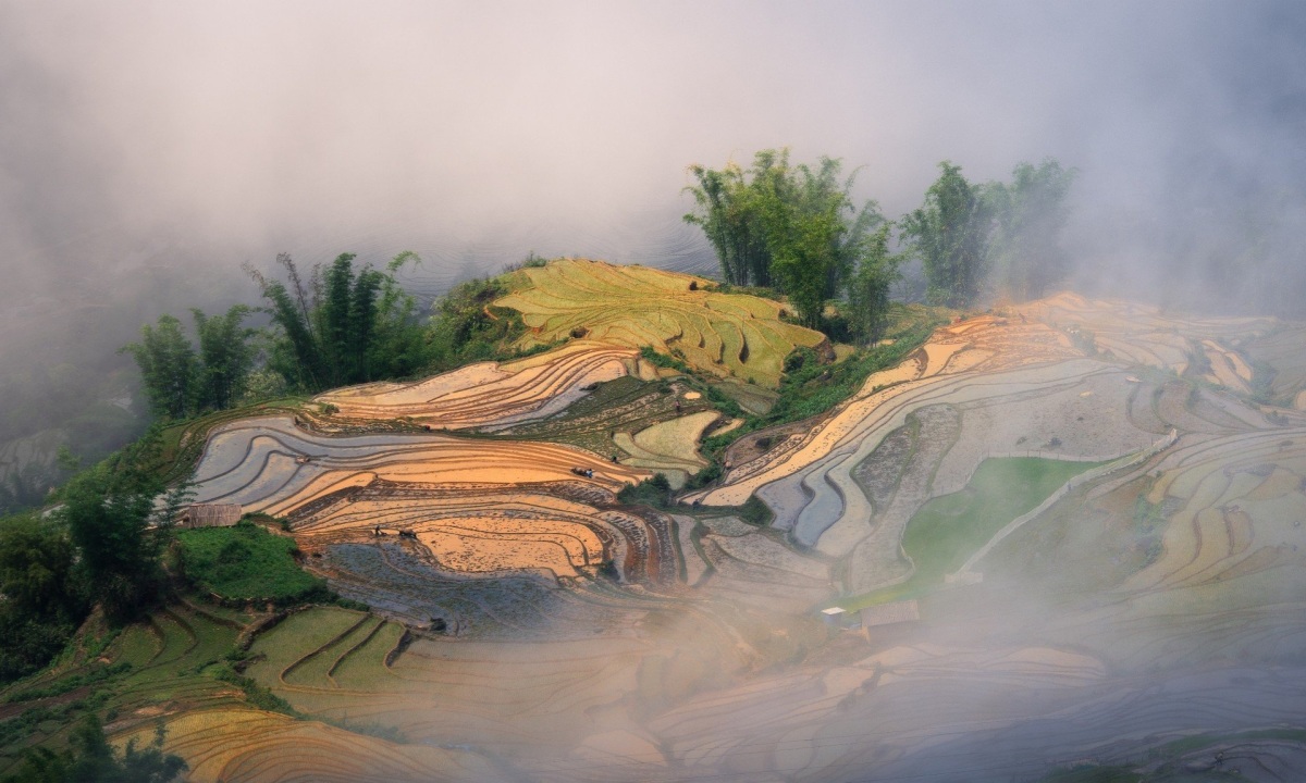 Ruộng bậc thang Lào Cai mùa nước đổ