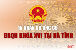 [Infographic] 15 nhân sự ứng cử ĐBQH khoá XVI tại Hà Tĩnh gồm những ai?