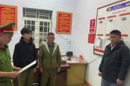 Khởi tố giám đốc sản xuất hàng trăm tấn lúa giống giả thương hiệu ST