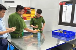 Thu giữ hơn 23.000 sản phẩm yến chưng giả