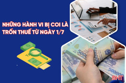 [Motion Graphics] Những hành vi bị coi là trốn thuế từ ngày 1/7