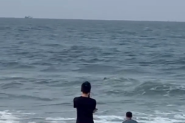 Người đàn ông lao xuống biển cứu du khách bị chuột rút