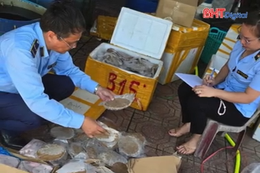 Phát hiện 2,7 tạ chả tôm, thịt bò và nội tạng động vật không rõ nguồn gốc