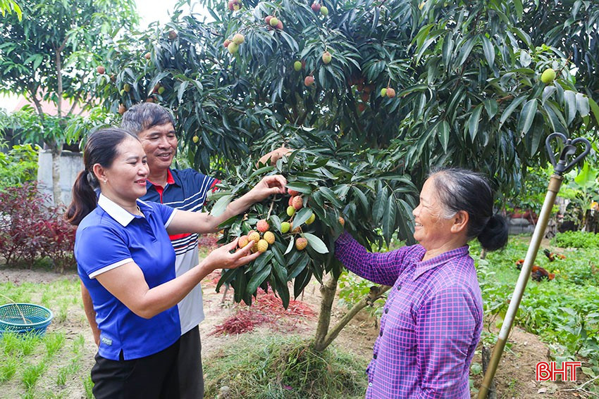 Vợ chồng chị Nguyễn Thị Xuân, anh Lê Hồng Vân và mẹ của anh Vân. bqbht_br_a7.jpg