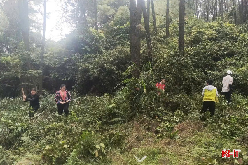 Ban Quản lý rừng phòng hộ Hồng Lĩnh phát dọn thực bì để hạn chế cháy khi nắng nóng. bqbht_br_2-copy.jpg