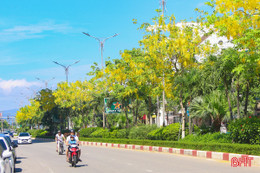 Thành Sen - mùa hoa gọi nắng