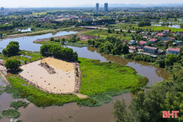 Hình hài khu bảo tồn chim trời trên đất Thành Sen