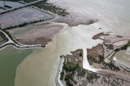 Khắc phục bồi lắng tại Khu tránh trú bão Cửa Hội - Xuân Phổ: Yêu cầu cấp thiết!