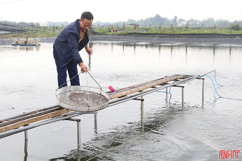 Người nuôi tôm kiểm tra sức khỏe tôm