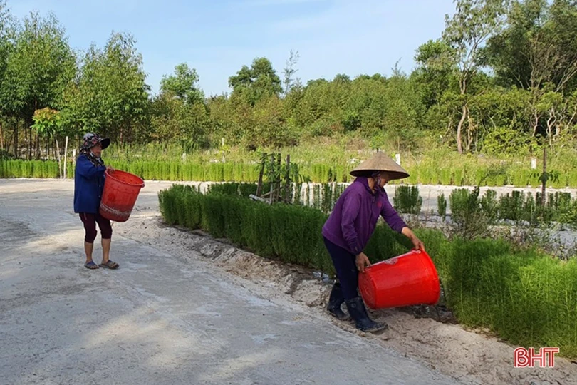 Thạch Hà linh hoạt xây dựng nông thôn mới trong điều kiện dịch bệnh Covid-19