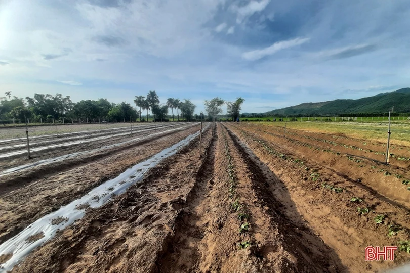 Thạch Hà linh hoạt xây dựng nông thôn mới trong điều kiện dịch bệnh Covid-19