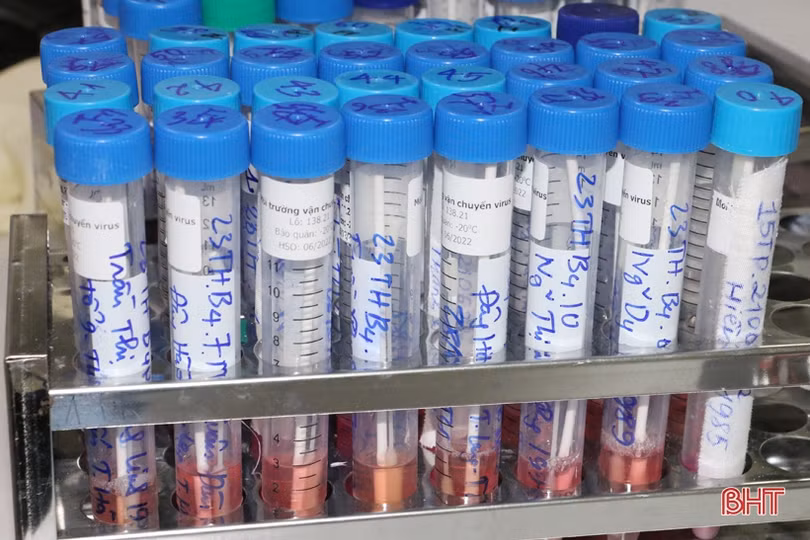 Cán bộ Khoa Cận lâm sàng CDC Hà Tĩnh “trắng đêm” xét nghiệm Covid-19