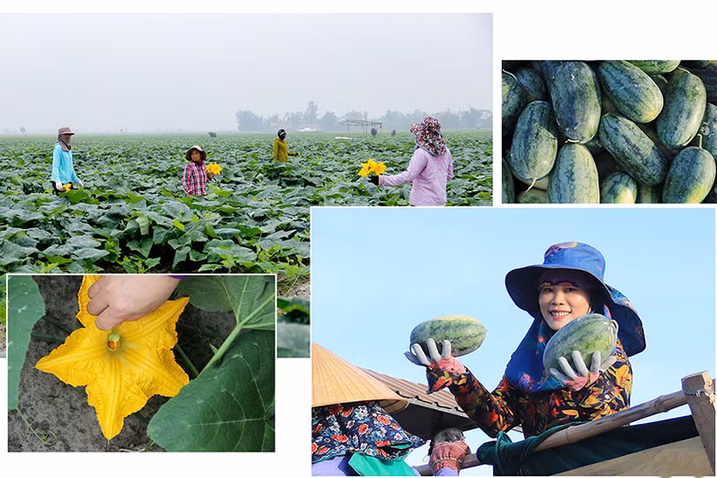 Phát huy truyền thống cần cù, sáng tạo, xây dựng quê hương Hà Tĩnh ngày càng giàu mạnh