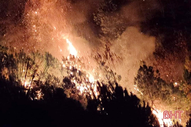 Hà Tĩnh: Cháy rừng trong đêm tại Can Lộc