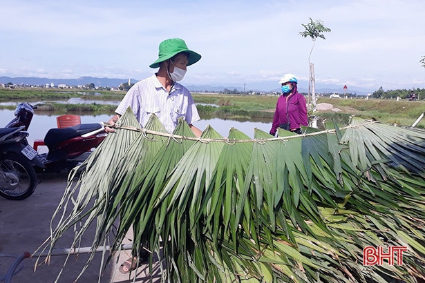 Hà Tĩnh: Bà con giáo dân Thạch Long chung tay đẩy lùi dịch bệnh
