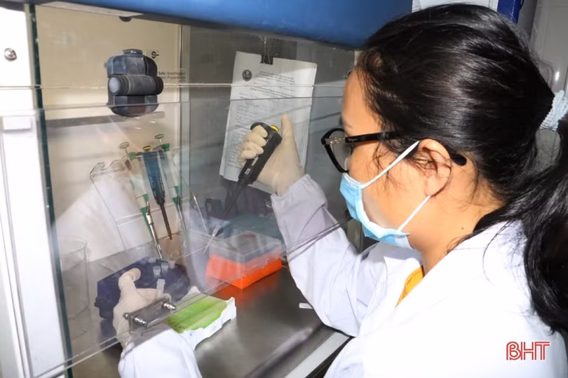 Cán bộ Khoa Cận lâm sàng CDC Hà Tĩnh “trắng đêm” xét nghiệm Covid-19