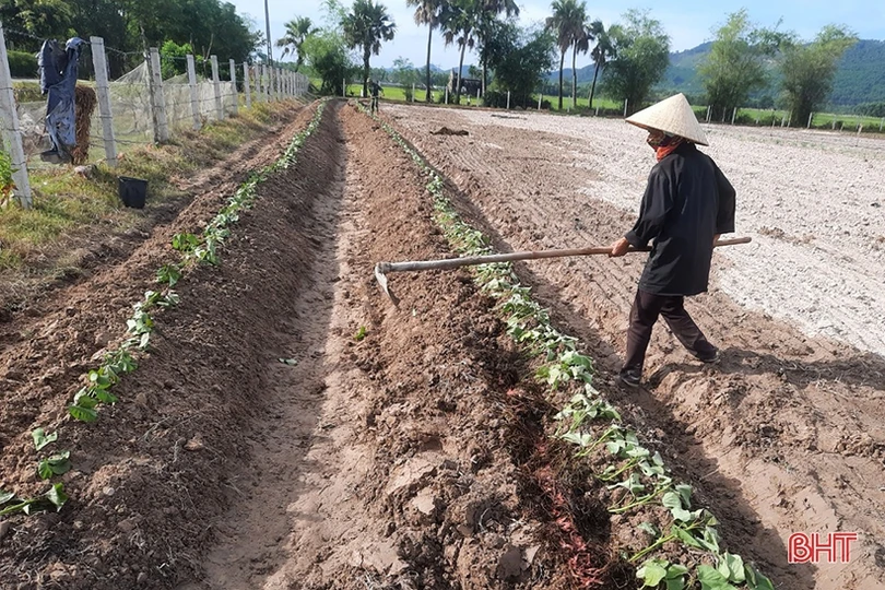 Thạch Hà linh hoạt xây dựng nông thôn mới trong điều kiện dịch bệnh Covid-19
