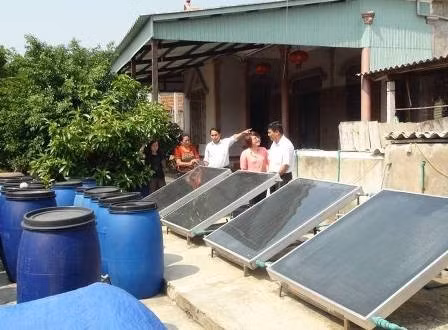 Sử dụng công nghệ chế biến náo đảo bằng tấm pin năng lượng mặt trời giúp HTX chế biến hải sản Bắc Hải rút ngắn qui trình chế biến từ 12 tháng xuống còn 6 tháng