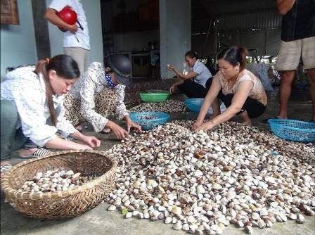 Mô hình nuôi trồng thủy sản của chị Lê Thị Loan (Thạch Châu, Lộc Hà) GQVL thường xuyên cho 10-15 lao động với mức lương từ 2,5 đến 3,5 triệu/lao động Mô hình nuôi trồng thủy sản của chị Lê Thị Loan (Thạch Châu, Lộc Hà) GQVL thường xuyên cho 10-15 lao động với mức lương từ 2,5 đến 3,5 triệu/lao động