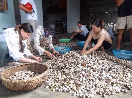 Mô hình nuôi trồng thủy sản của chị Lê Thị Loan (Thạch Châu, Lộc Hà) GQVL thường xuyên cho 10-15 lao động với mức lương từ 2,5 đến 3,5 triệu/lao động