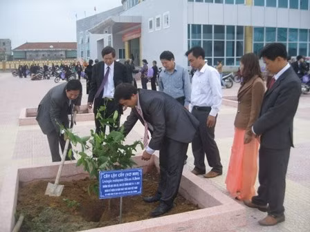 Cây Lậy Cầy non được đêm đến trồng tại Khu di tích Xô Viết Nghệ Tĩnh (Ngã Ba Nghèn - Can Lộc)