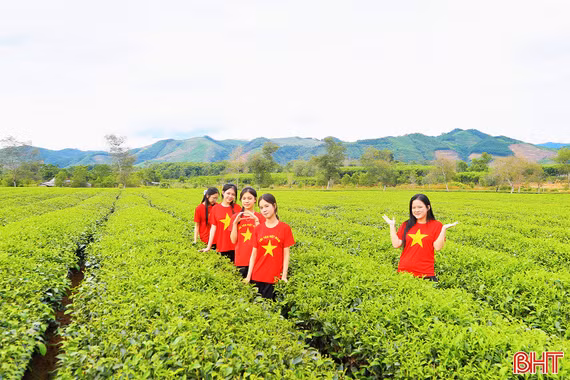 Check in đồi chè xanh mát ở phía tây Hà Tĩnh