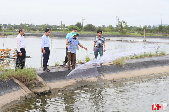 Người nuôi trồng thủy sản chủ động ứng phó mùa mưa bão