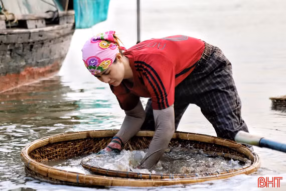 Xem người dân miệt mài đãi hến trên sông La