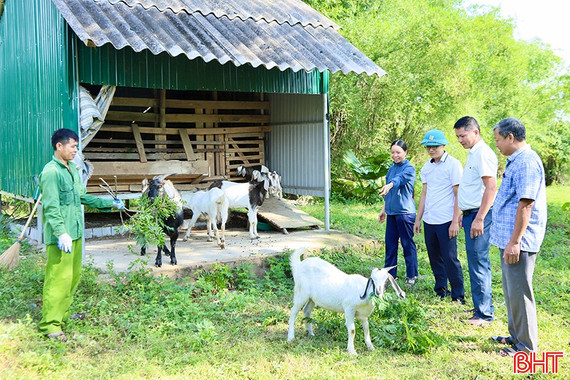 Nhiều mô hình sinh kế giúp người nghèo Đức Thọ nâng cao thu nhập